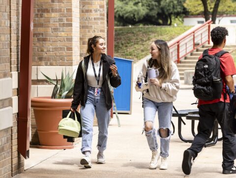 university of texas austin deadline for spring 2025